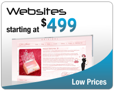 Websites starting at $499